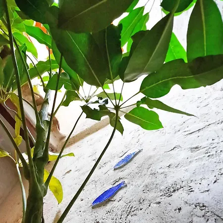 Maison d'hôtes Blue Sardine Boutique 4*