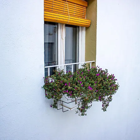 Guest house Blue Sardine Boutique (adults Only)